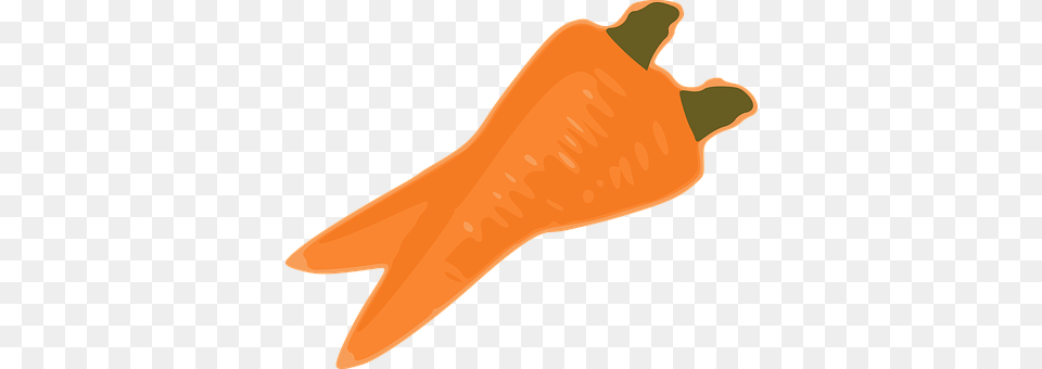 Carrot Food, Plant, Produce, Vegetable Png