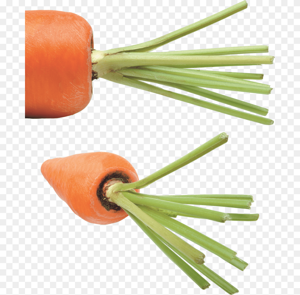 Carrot, Food, Plant, Produce, Vegetable Png