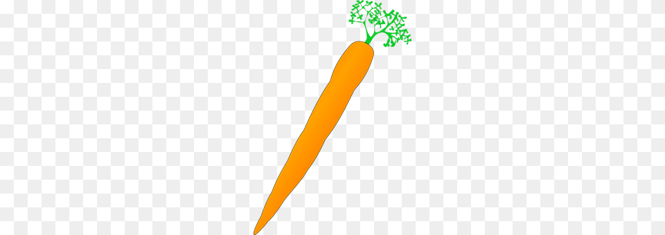 Carrot Food, Plant, Produce, Vegetable Png Image