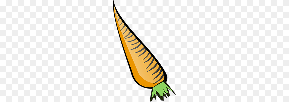 Carrot Food, Plant, Produce, Vegetable Free Png Download