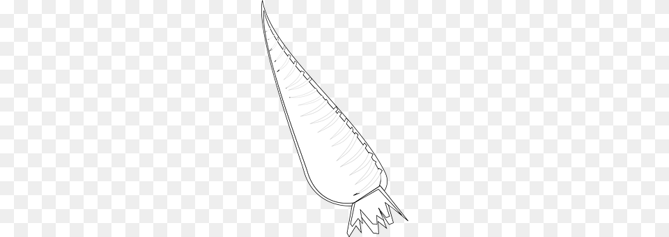 Carrot Boat, Sailboat, Transportation, Vehicle Free Transparent Png