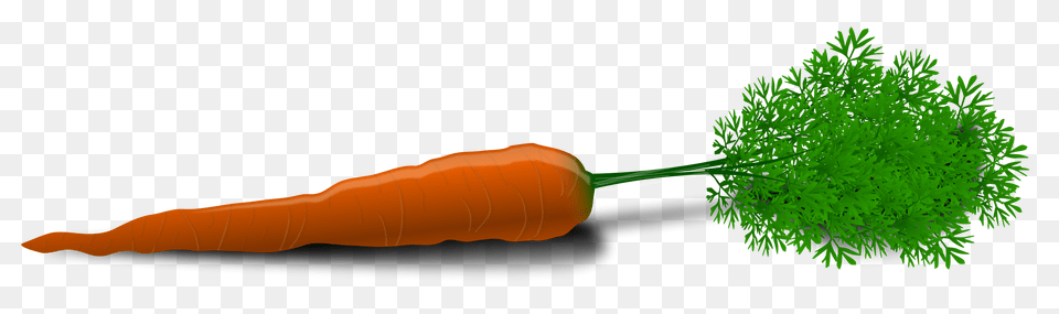 Carrot, Food, Plant, Produce, Vegetable Free Transparent Png