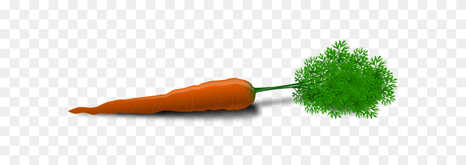 Carrot Food, Plant, Produce, Vegetable Free Png Download