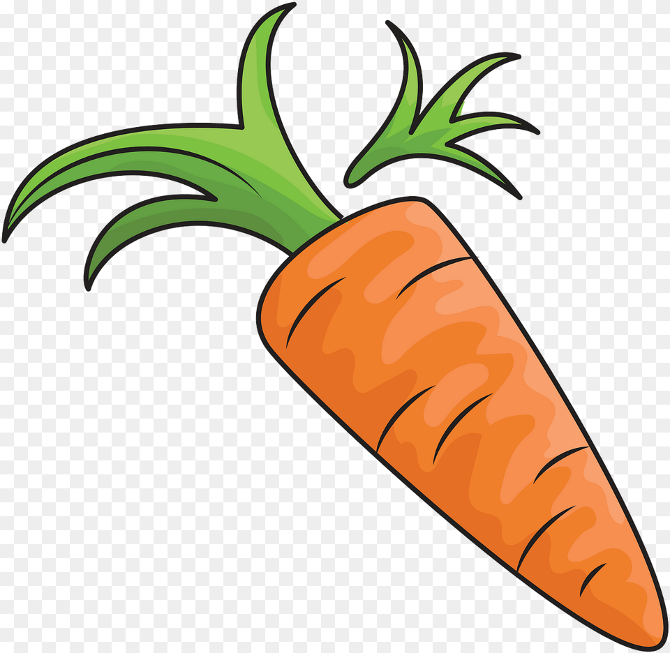 Carrot, Food, Plant, Produce, Vegetable Free Png