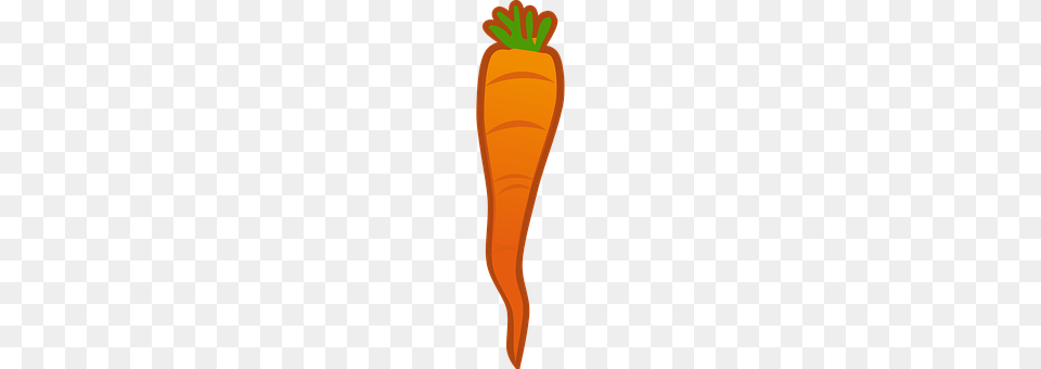 Carrot Food, Plant, Produce, Vegetable Png Image