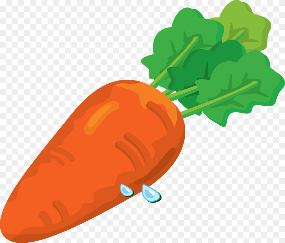 Carrot, Food, Plant, Produce, Vegetable Free Png