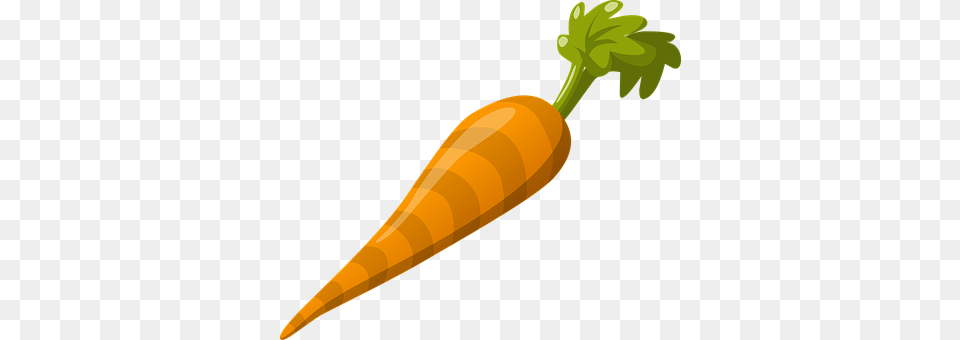 Carrot Food, Plant, Produce, Vegetable Png Image