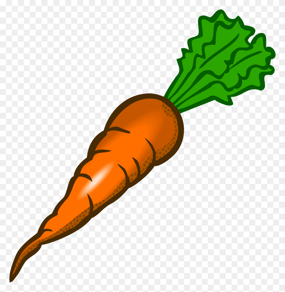 Carrot, Food, Plant, Produce, Vegetable Free Png