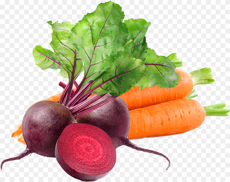 Carrot And Beetroot, Plant, Food, Produce, Vegetable Png