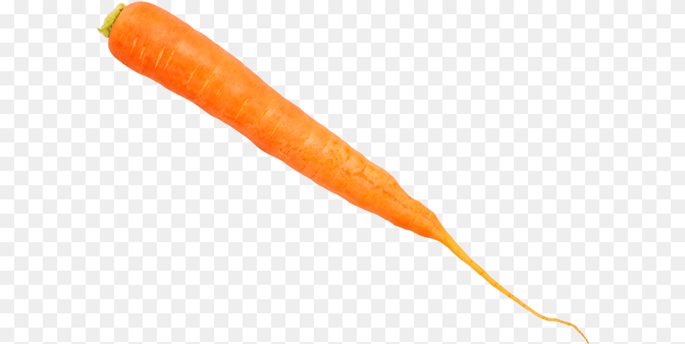 Carrot Baby Carrot, Food, Plant, Produce, Vegetable Free Png