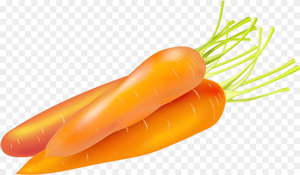 Carrot Cake Food Vegetable Carrots Vector, Plant, Produce, Animal, Insect Free Png