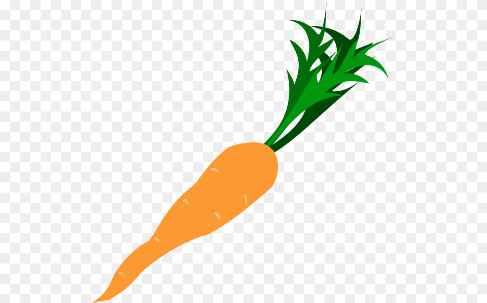 Carrot Clip Art, Food, Plant, Produce, Vegetable Free Png