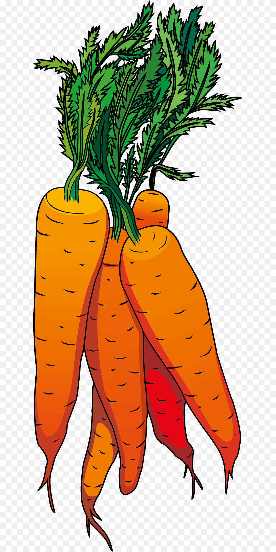 Carrot Clipart, Food, Plant, Produce, Vegetable Free Transparent Png