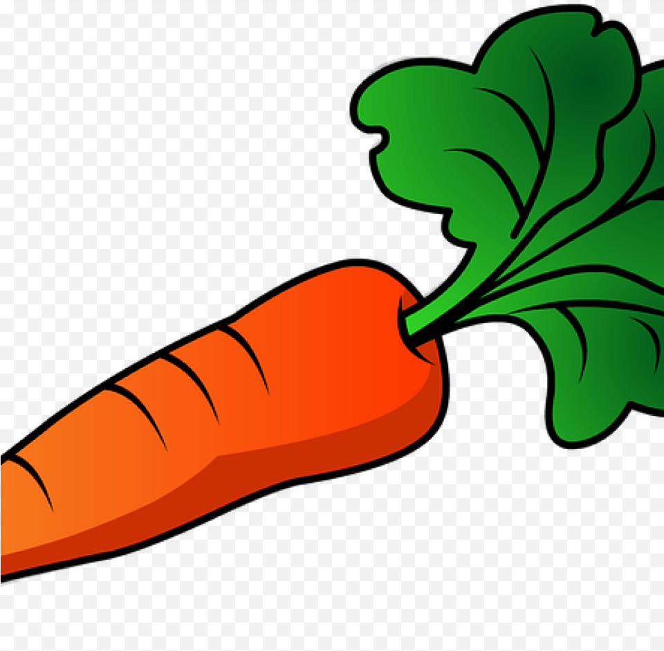 Carrot Clipart 19 Carrot Jpg Transparent Huge Transparent Background Carrot Clipart, Food, Plant, Produce, Vegetable Free Png Download