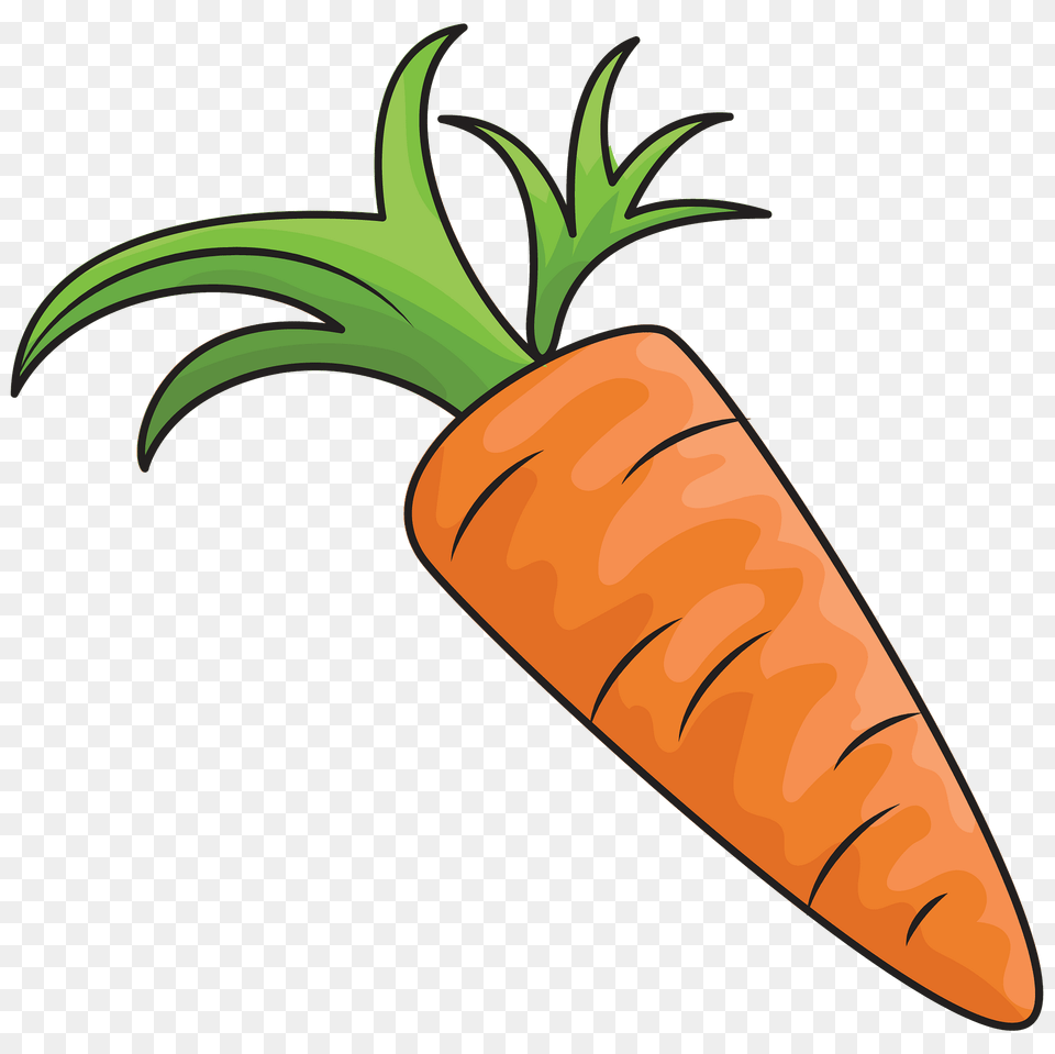 Carrot Clipart, Food, Plant, Produce, Vegetable Png Image