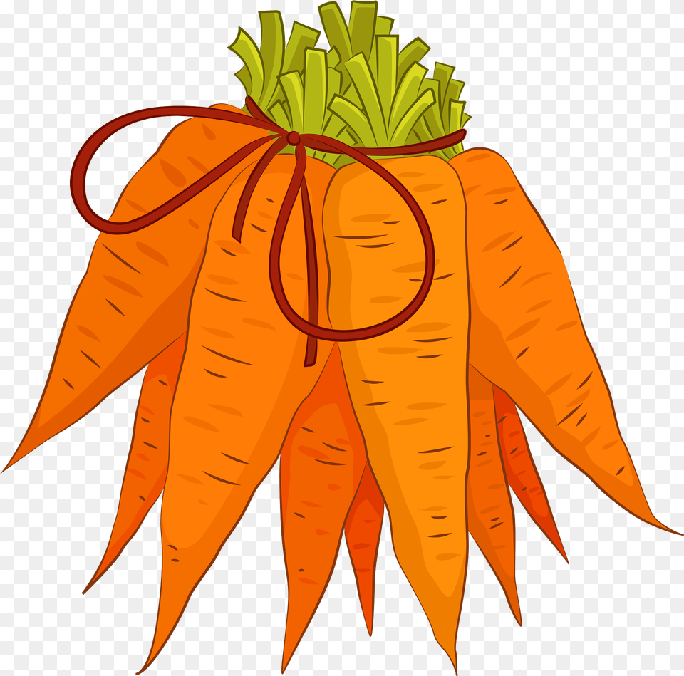 Carrot Clipart, Food, Plant, Produce, Vegetable Png