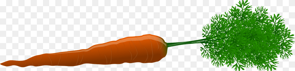 Carrot Clipart, Food, Plant, Produce, Vegetable Free Png