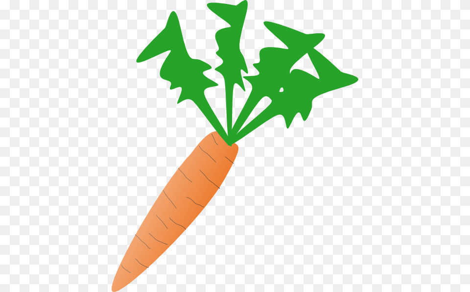 Carrot Clipart, Food, Plant, Produce, Vegetable Png Image