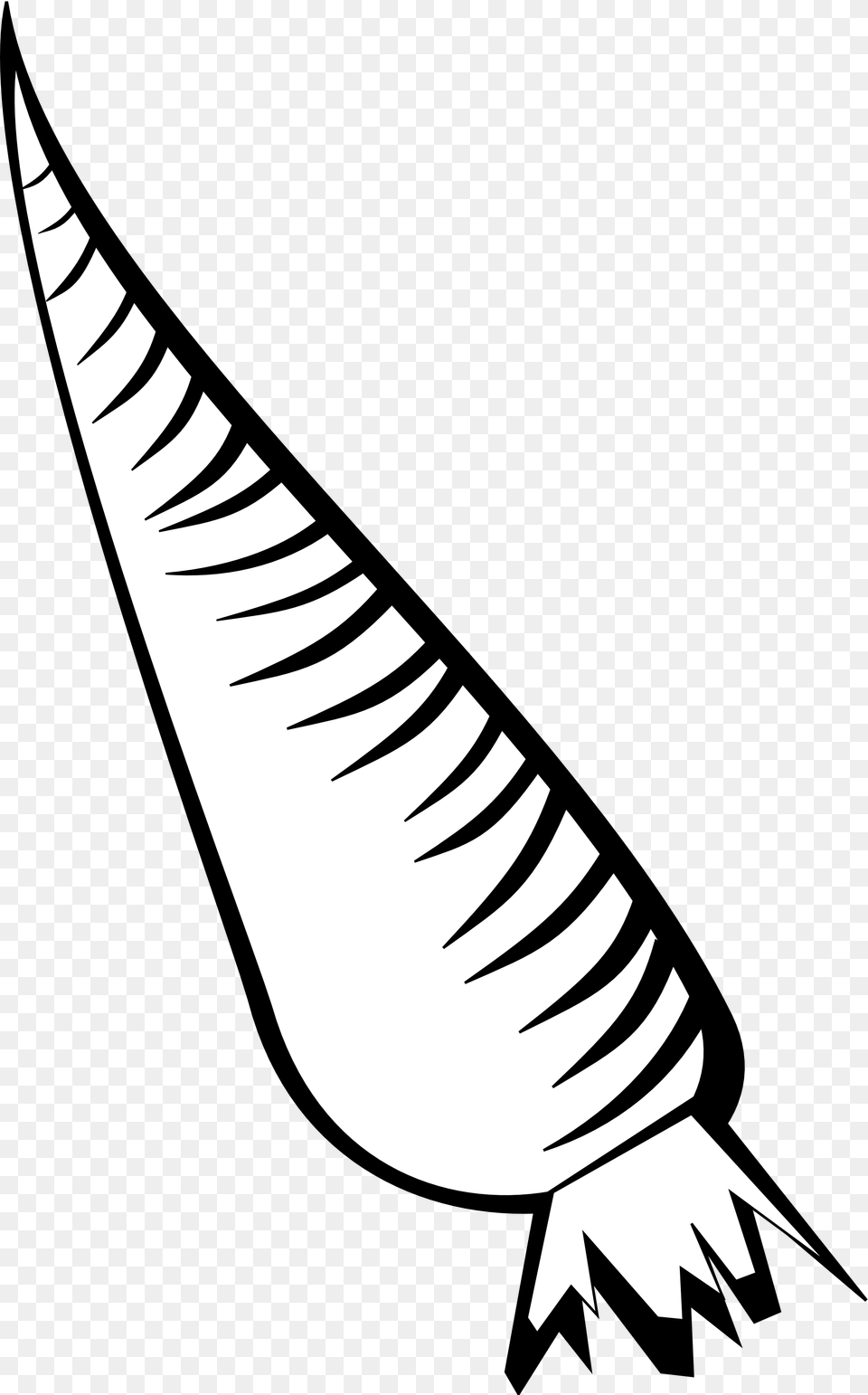 Carrot Clipart Line Drawing, Animal, Fish, Sea Life, Shark Png Image