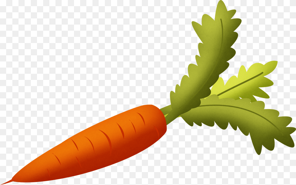 Carrot Clipart Background Carrot, Food, Plant, Produce, Vegetable Free Transparent Png