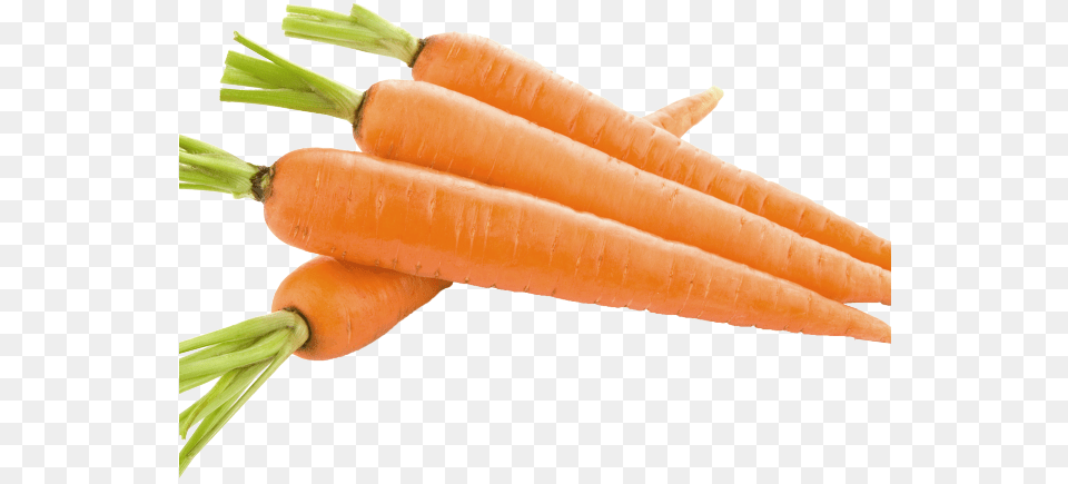 Carrot Clipart Twenty Two Carrots, Food, Plant, Produce, Vegetable Free Png