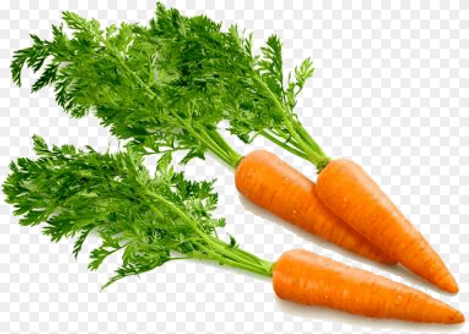 Carrot Computer Icons Clip Art Carrots, Food, Plant, Produce, Vegetable Png Image
