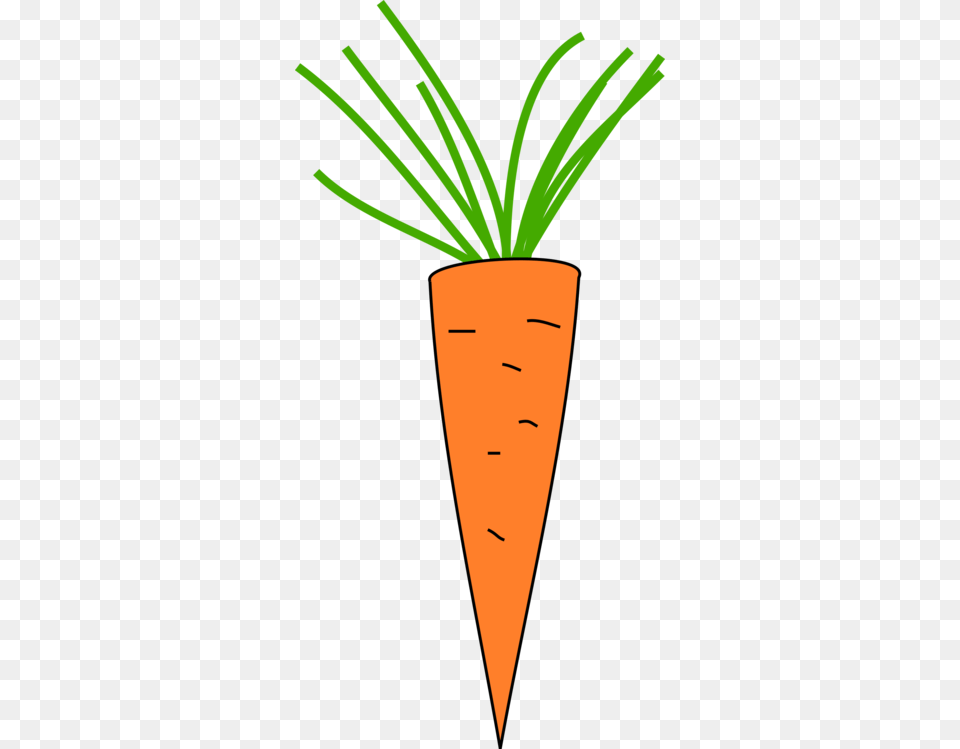 Carrot Computer Icons Download, Food, Plant, Produce, Vegetable Png