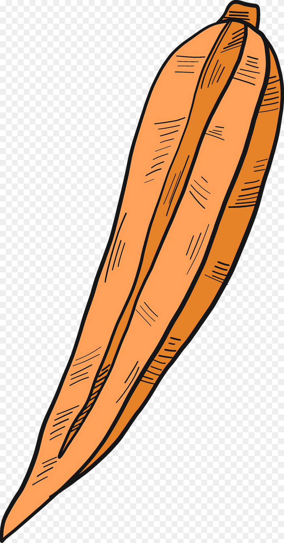 Carrot Cut In Half Clipart, Food, Plant, Produce, Vegetable Free Png Download