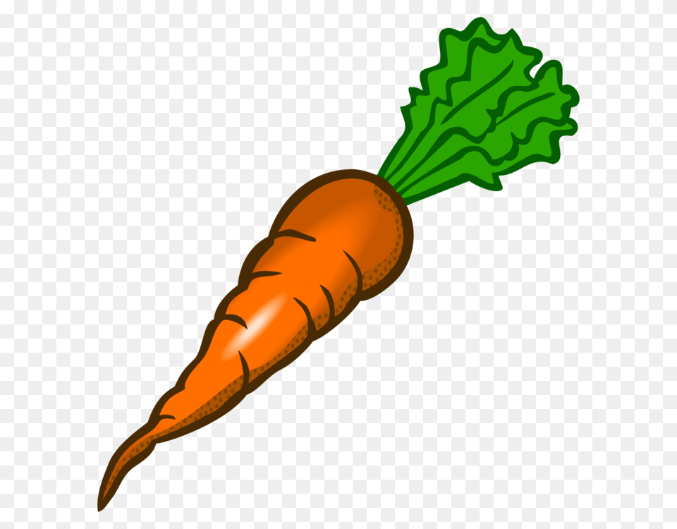 Carrot Download Vegetable Line Art, Food, Plant, Produce Png Image