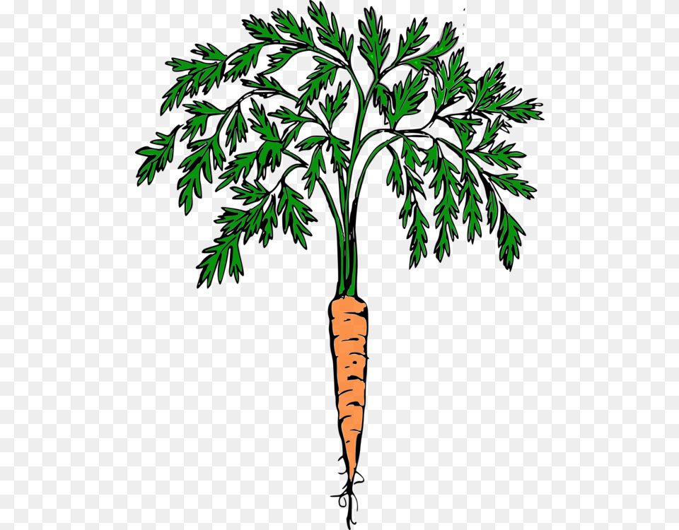 Carrot Download Vegetable Snowman Computer Icons, Food, Plant, Produce Png Image