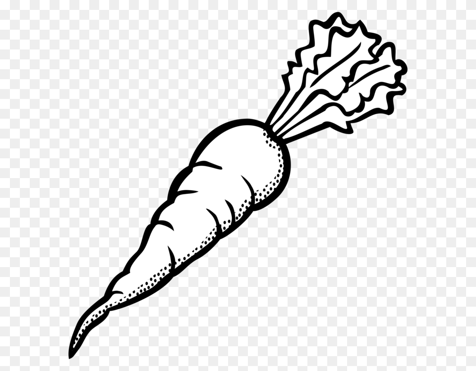 Carrot Drawing Black And White Line Art Snowman, Food, Plant, Produce, Vegetable Free Png