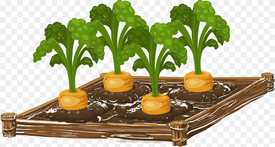 Carrot Garden Clipart, Plant, Potted Plant, Food, Produce Free Png