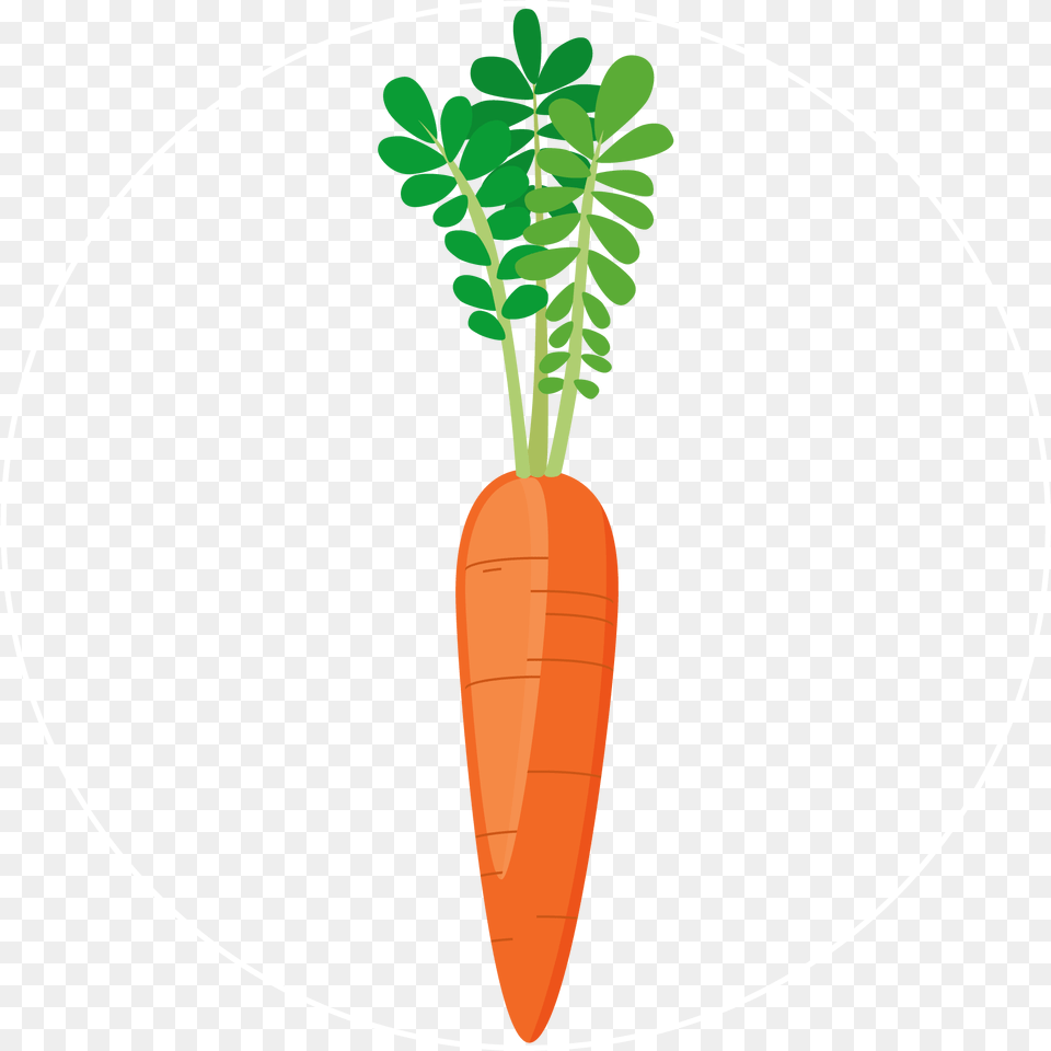 Carrot Icon Baby Carrot, Food, Plant, Produce, Vegetable Free Transparent Png