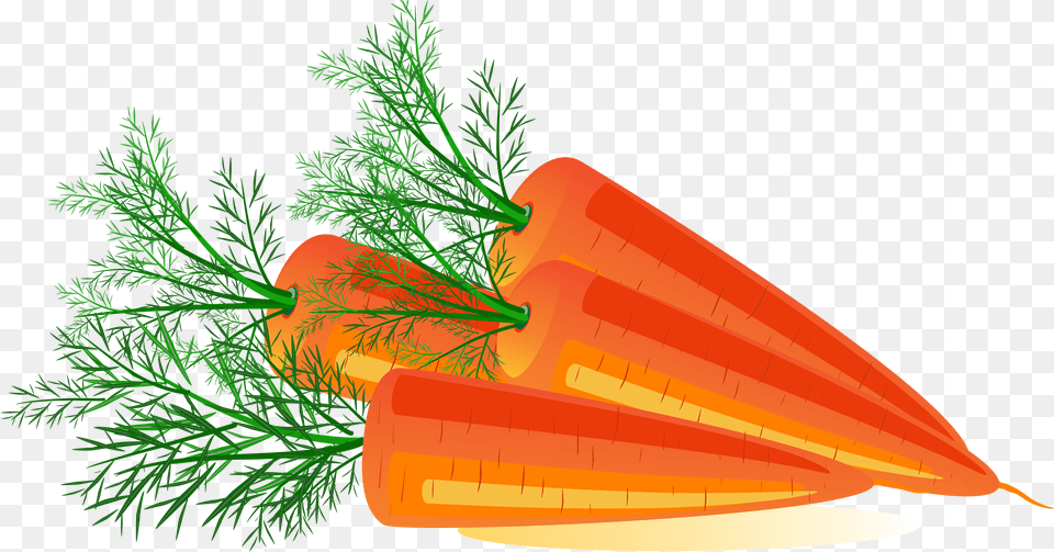 Carrot Image Carrots Clipart, Food, Plant, Produce, Vegetable Free Png