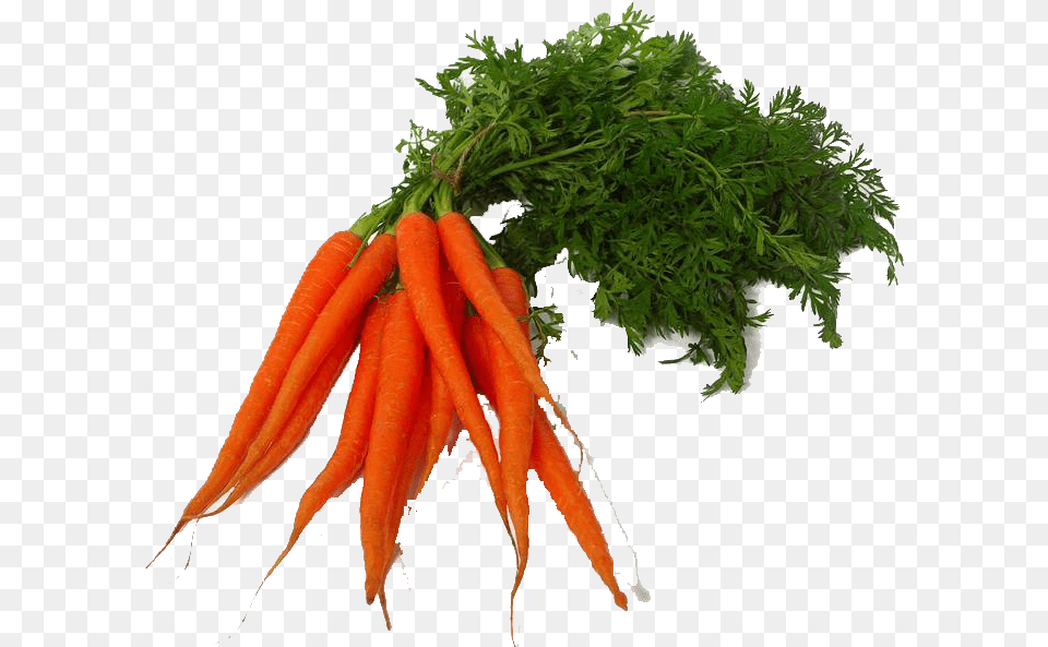 Carrot Images Vegetable Photo, Food, Plant, Produce Free Png