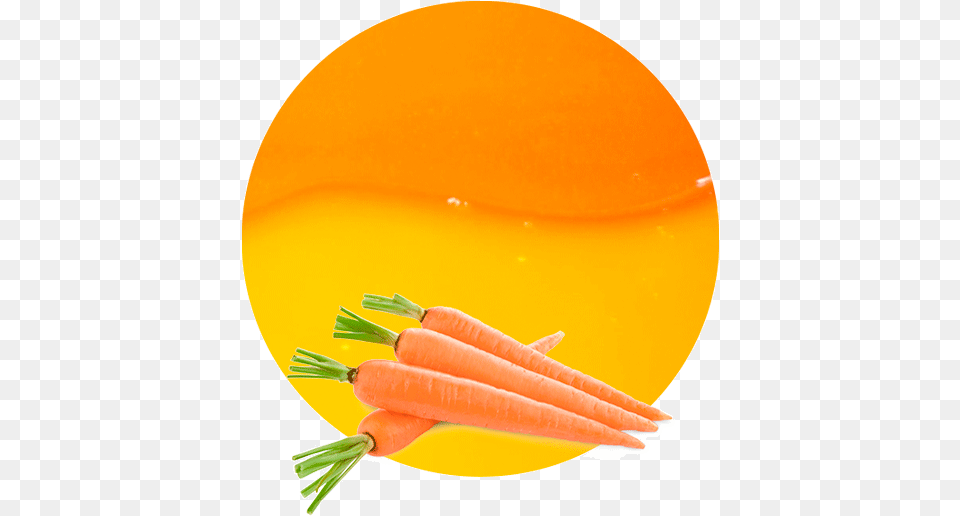Carrot Juice Concentrate Is Typically Used As Part Vegetables Images Per Piece, Food, Plant, Produce, Vegetable Free Png