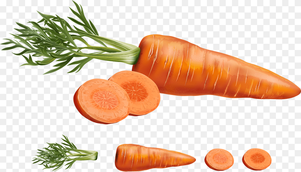Carrot Juice Vegetable Carrots Realistic Carrot Vector, Food, Plant, Produce Png