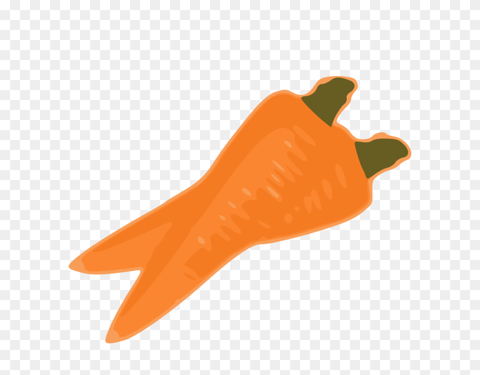 Carrot Nose Computer Icons Vegetable Drawing, Food, Plant, Produce, Animal Free Png Download