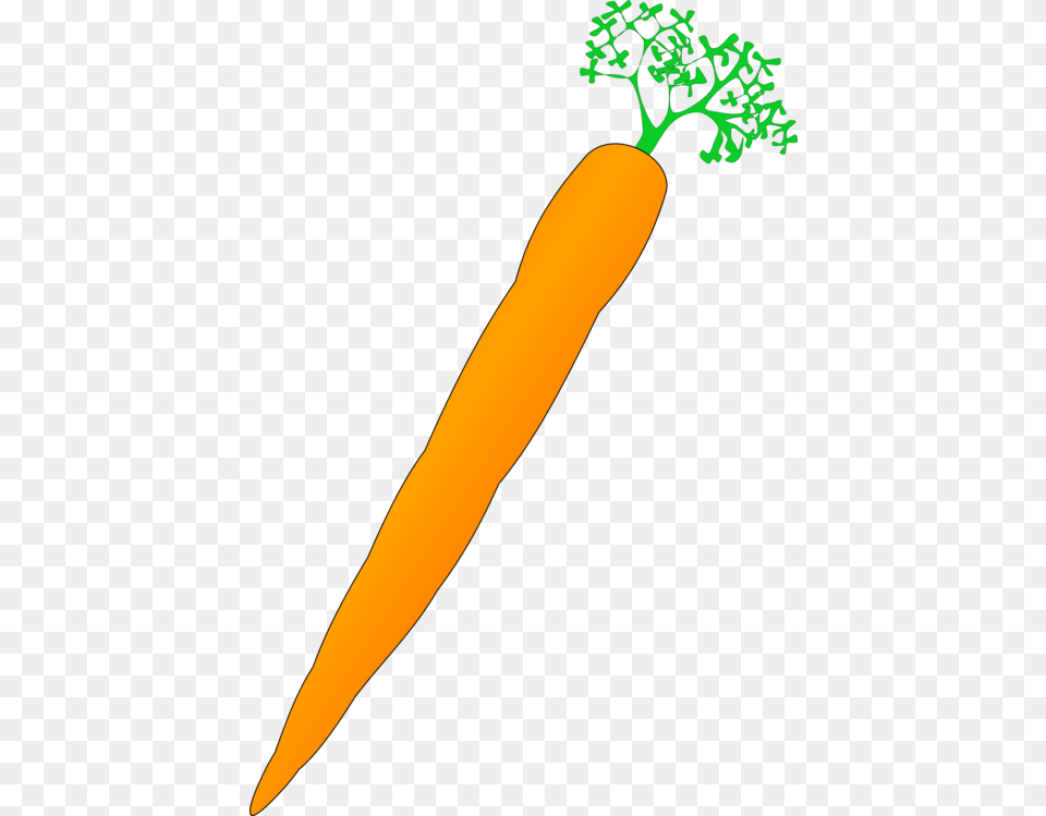 Carrot Nose Vegetable Drawing Computer Icons, Food, Plant, Produce, Blade Free Png Download