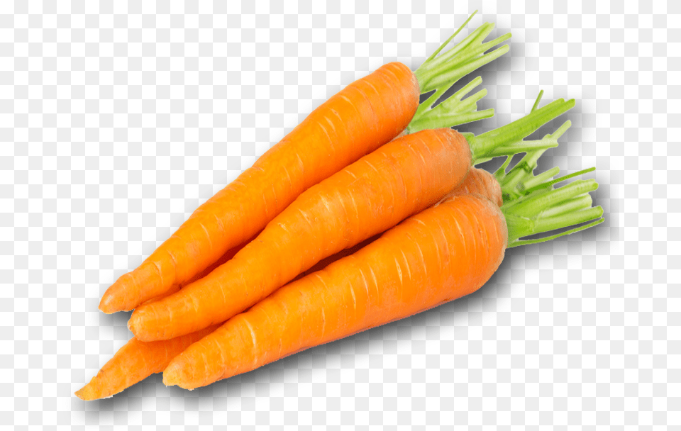 Carrot Pic Carrot, Food, Plant, Produce, Vegetable Free Png