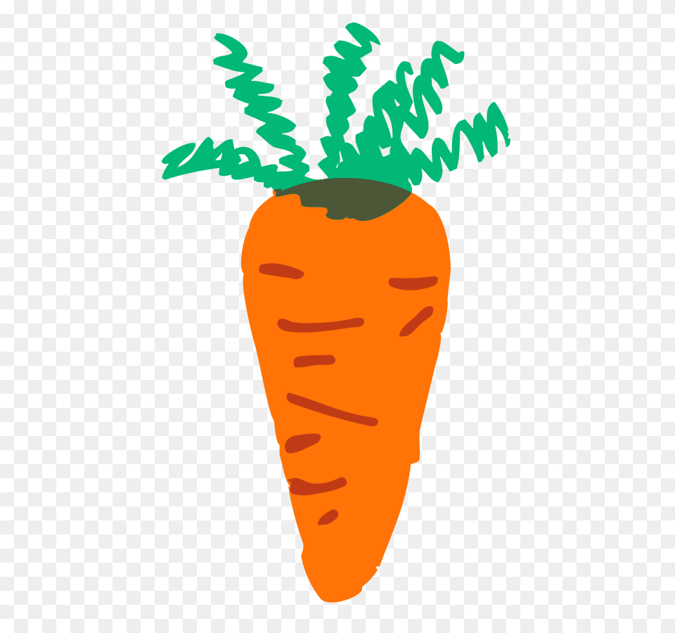 Carrot Pictures, Food, Plant, Produce, Vegetable Png Image