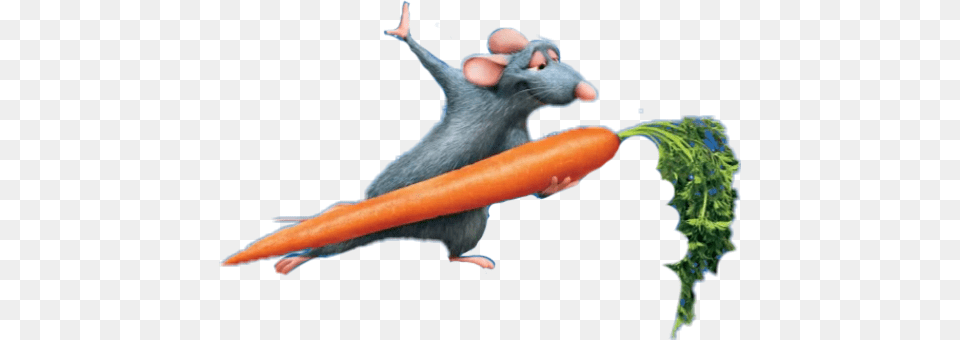 Carrot Remy Ratatouille Pixar Disneypixar, Food, Plant, Produce, Vegetable Free Png