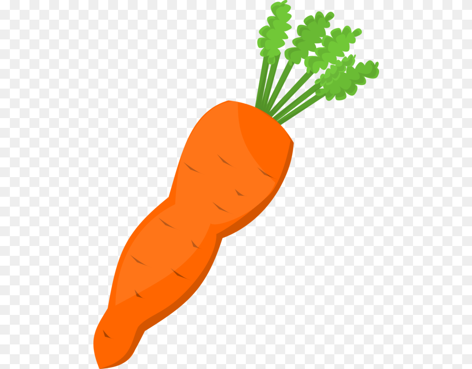 Carrot Salad Vegetable, Food, Plant, Produce, Person Free Transparent Png