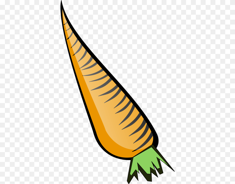 Carrot Svg Clip Arts 372 X 597 Px, Food, Plant, Produce, Vegetable Free Png