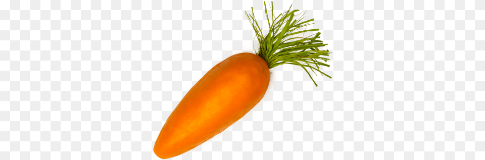 Carrot Background Single Carrot, Food, Plant, Produce, Vegetable Free Transparent Png