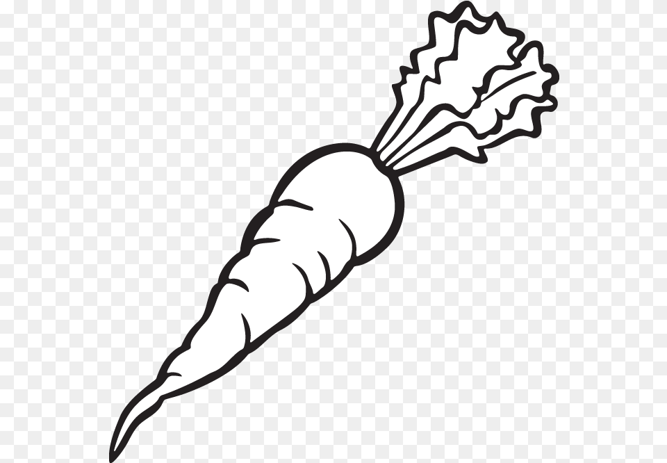 Carrot Transparent Carrot Clipart Black And White, Food, Plant, Produce, Vegetable Png Image