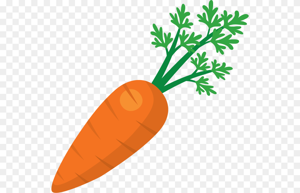 Carrot Transparent Only, Food, Plant, Produce, Vegetable Free Png Download