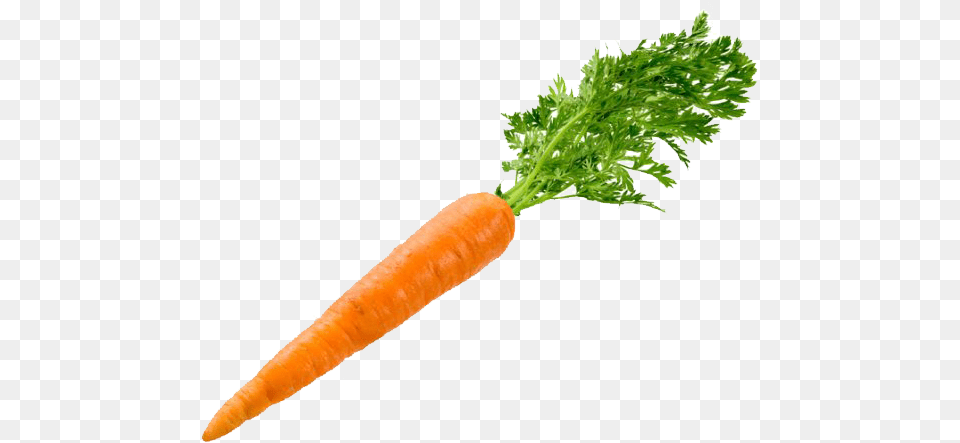 Carrot Transparent Image Background, Food, Plant, Produce, Vegetable Free Png