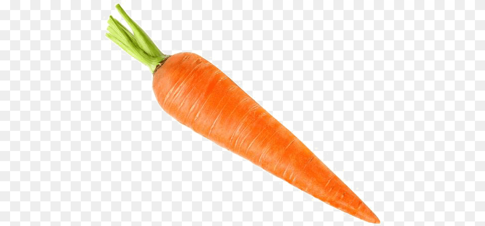 Carrot Images Download Background, Food, Plant, Produce, Vegetable Free Transparent Png