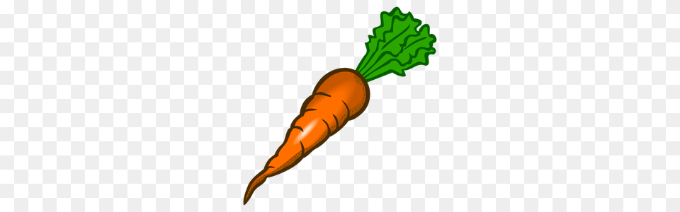 Carrot Vector Art, Food, Plant, Produce, Vegetable Free Png Download